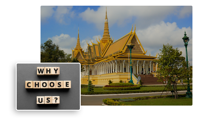 Why Choose Us